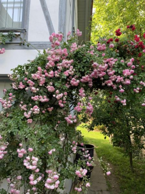 Zuhause auf Zeit in Mainz
